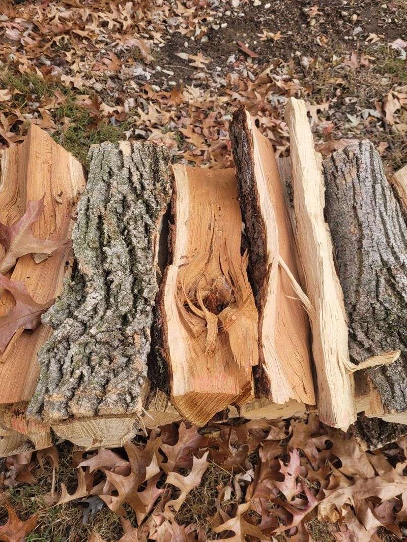 Michigan Homeowners Should Never Move Ash Firewood Long Distances