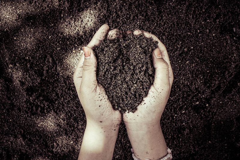 Mistake 5: Poor Soil Quality
