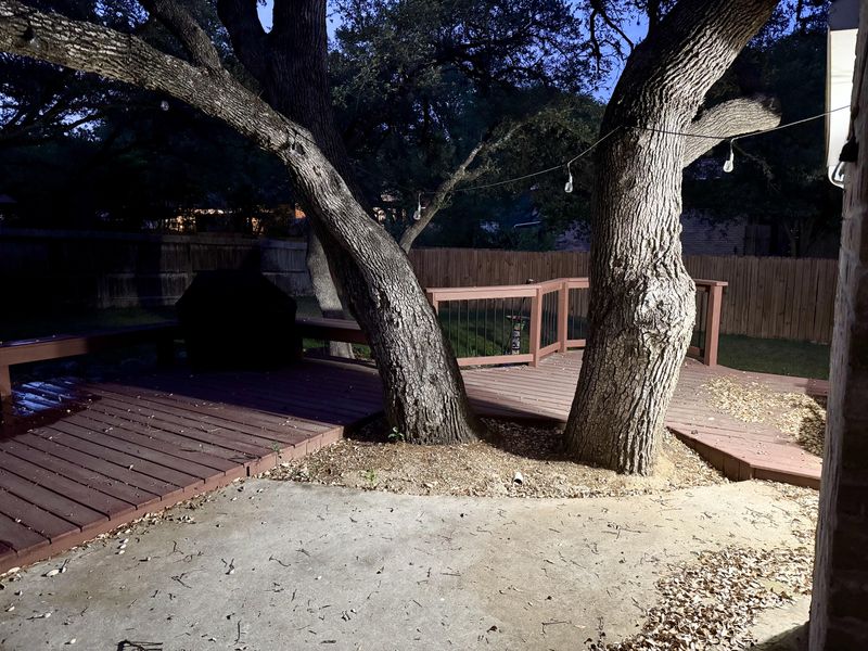 Moist Soil Around The Tree Supports Better Habitat