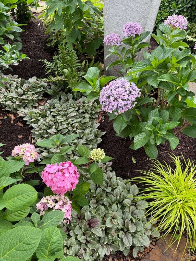 Moist Soil Matters As Heat Builds