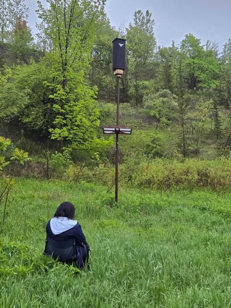 Monitor Bat Activity And Adjust Placement