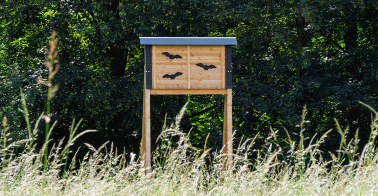 bat house in yard
