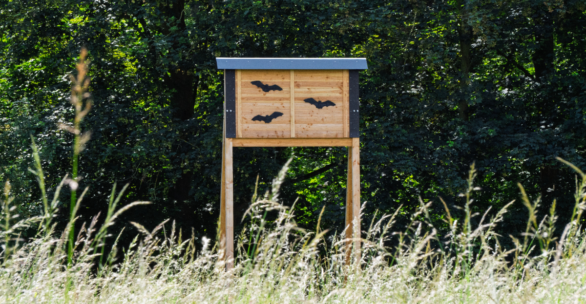 bat house in yard
