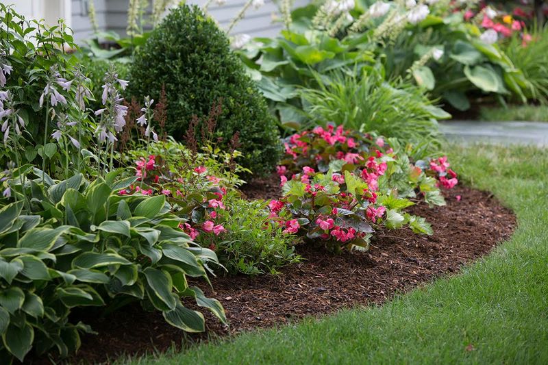 Most Michigan Gardens Need Less Mulch Than People Think