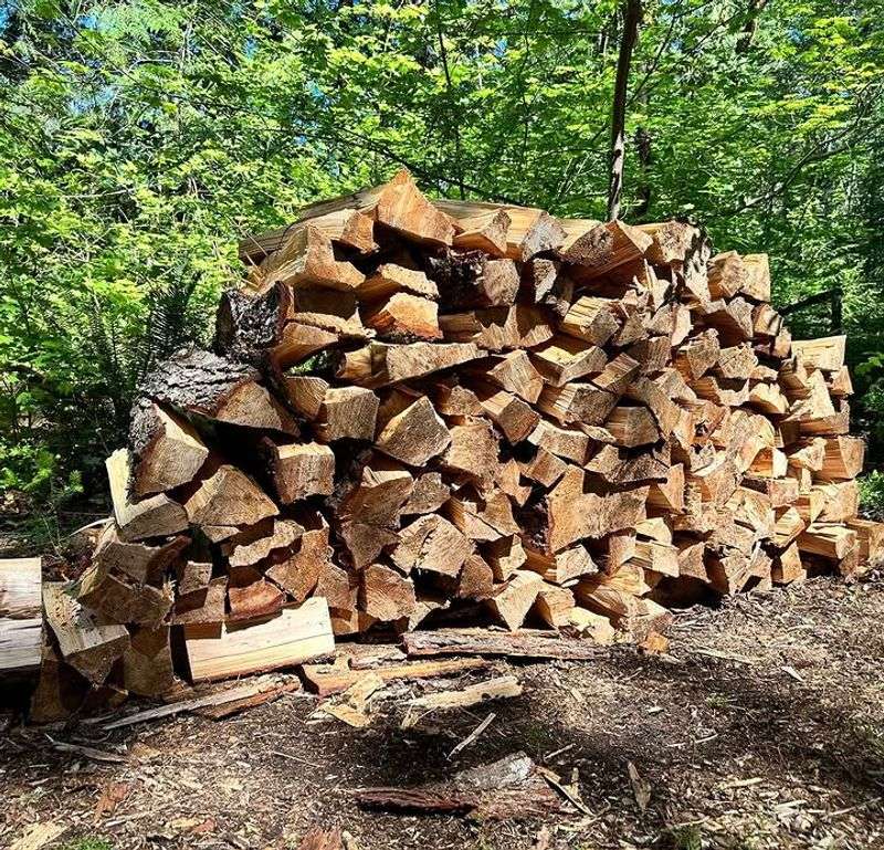 Move Firewood Away From The House