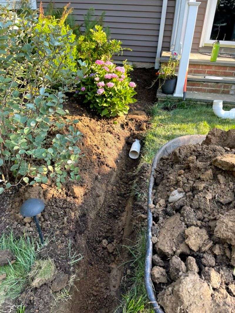 Move Plants Away From Splashy Downspouts