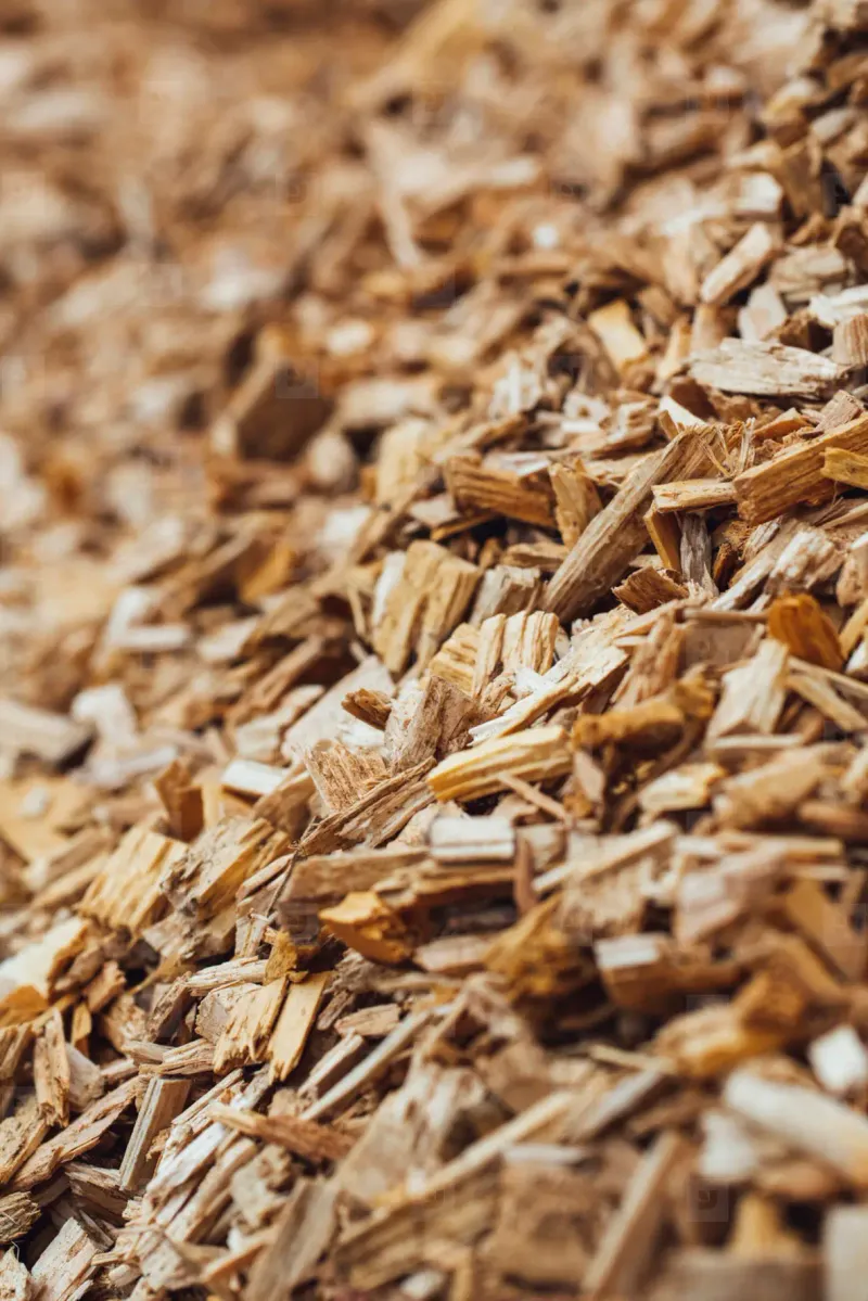 Moved Firewood Chips Can Haul Pests Into The Yard