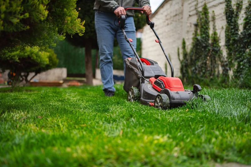 Mow At The Correct Height Mow At The Correct Height