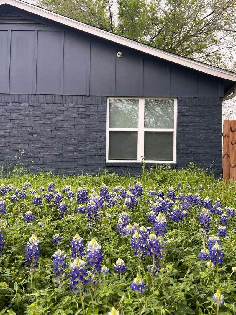 Mow Carefully During The First Growing Season