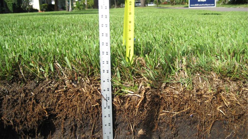 Mow To The Proper Height Before Checking Uneven Spots