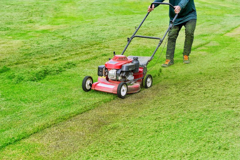Mowing Too Short