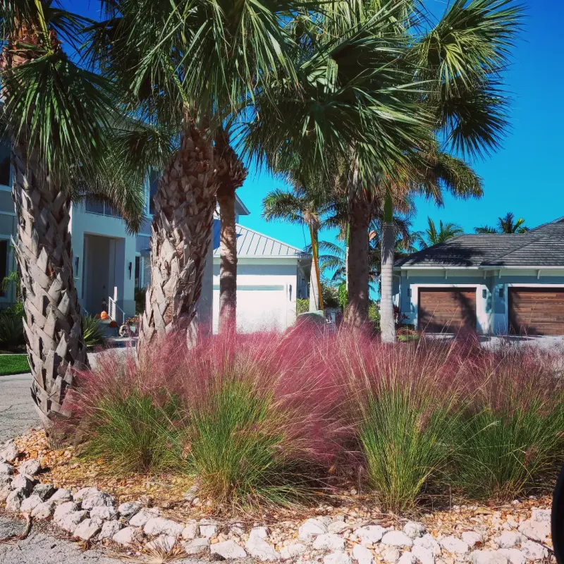 Muhly Grass Adds Soft Movement Beside The Entry