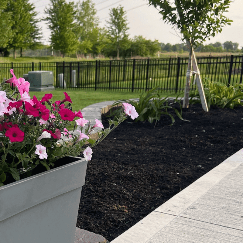 Mulch Beds Before Late Spring Heat Builds