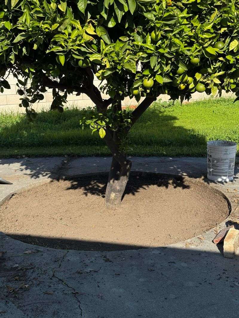 Mulch Before Soil Dries Out Fast