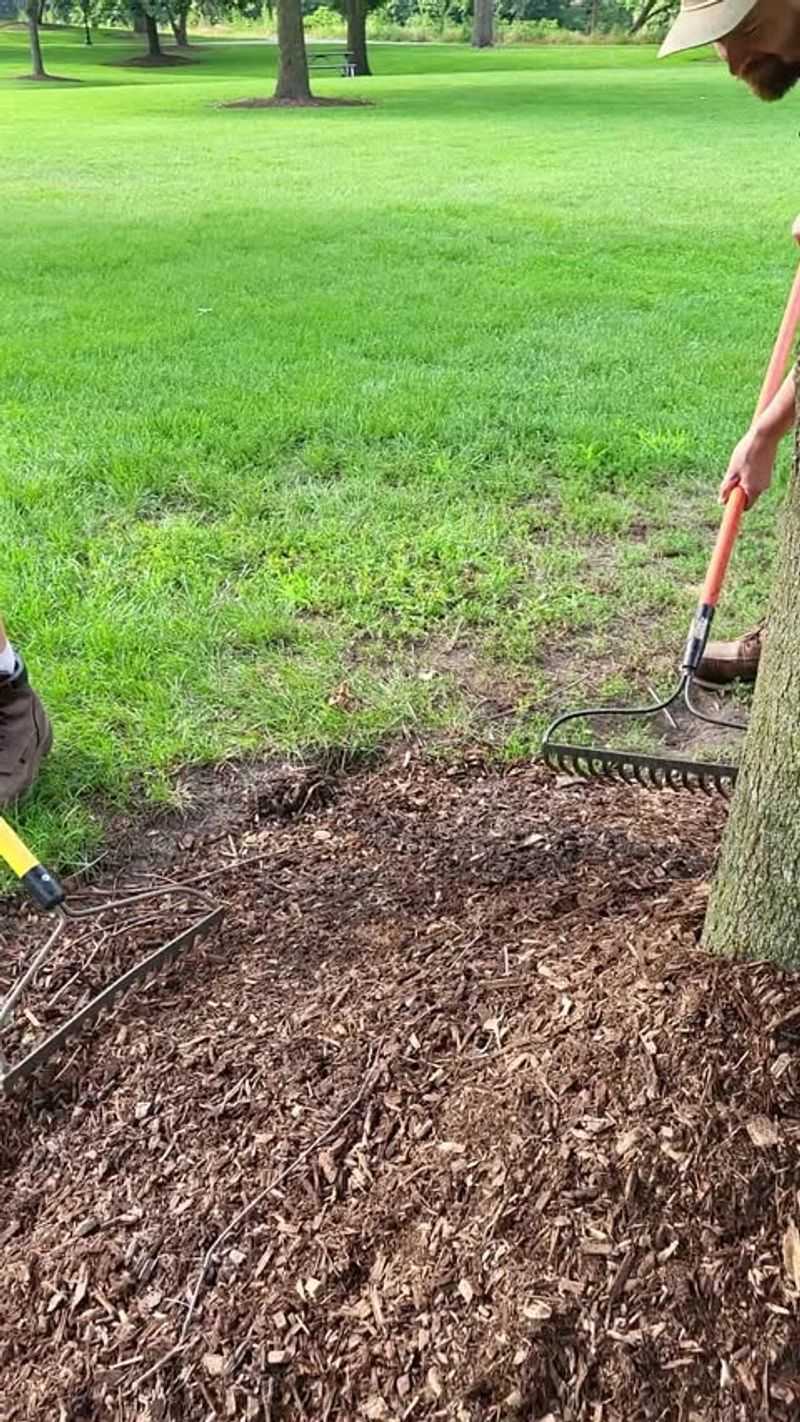 Mulch Conserves Soil Moisture