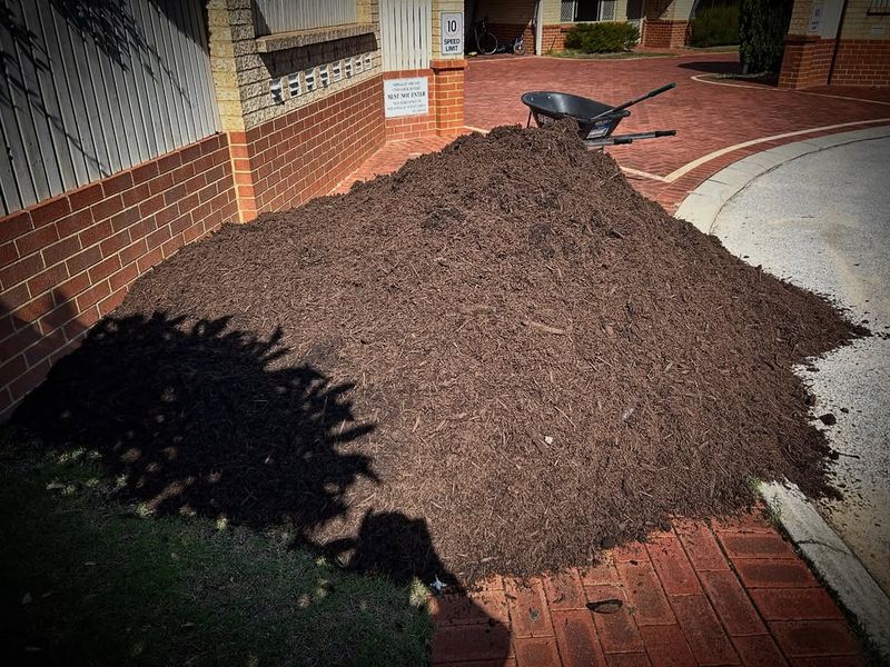 Mulch Creates A Barrier That Helps Limit Weed Growth