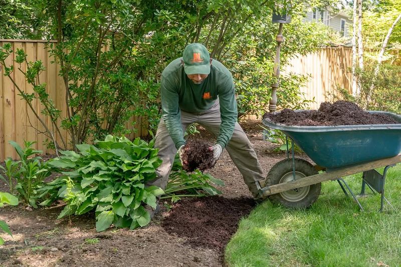 Mulch Helps Block Soil Splash That Spreads Garden Problems