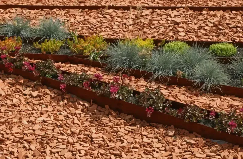 Mulch Helps Slow Water Loss But Does Not Replace Watering
