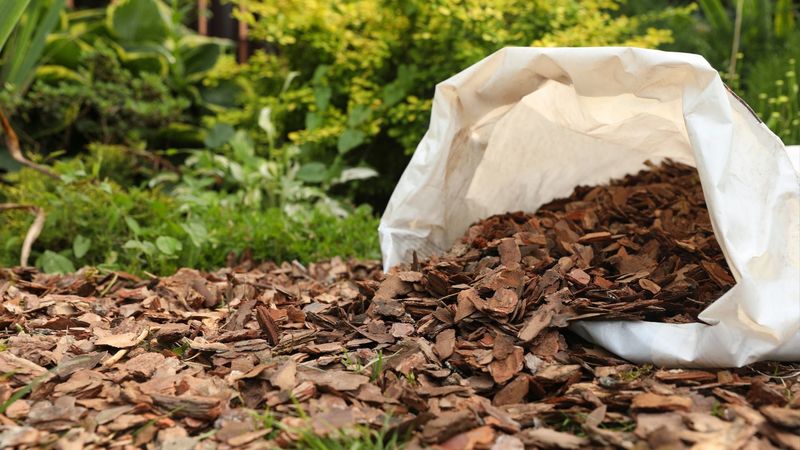 Mulch Helps Soil Hold Moisture