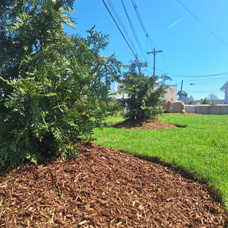 Mulch Holds Moisture Longer During North Carolina Heat Waves