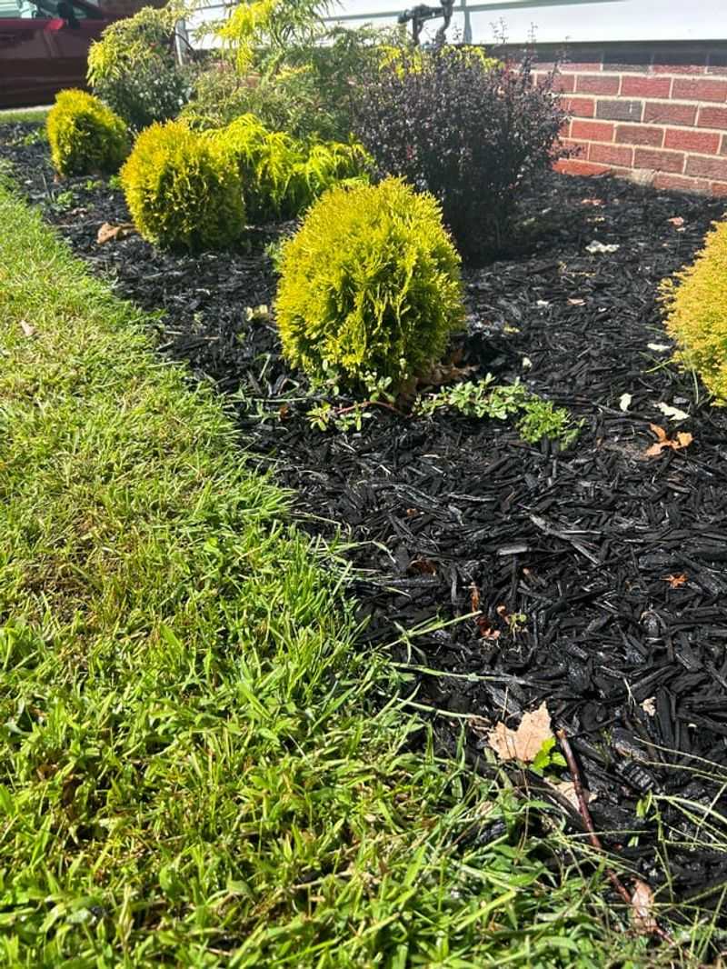 Mulch Reduces Weed Pressure