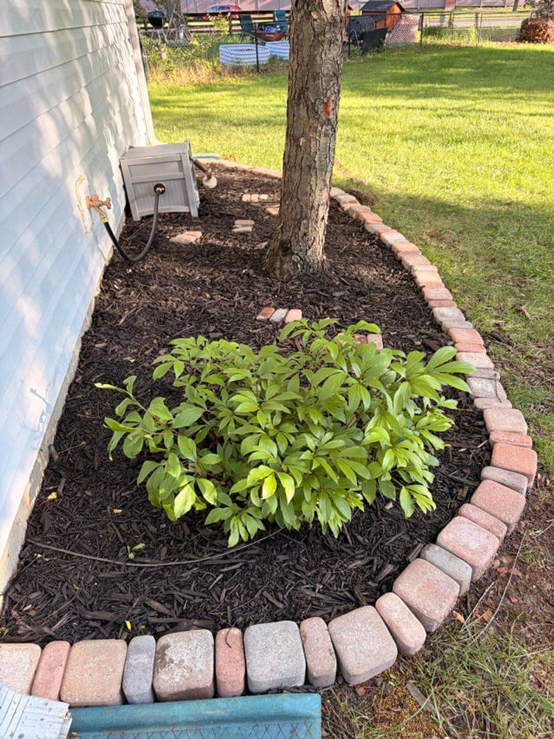 Mulch The Base