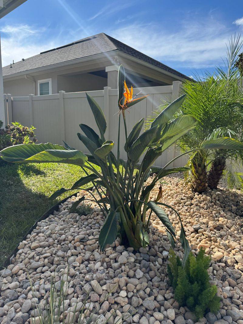 Mulch To Hold Moisture