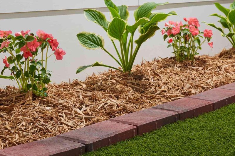 Mulched Borders Shrink Large Sections Of Turf