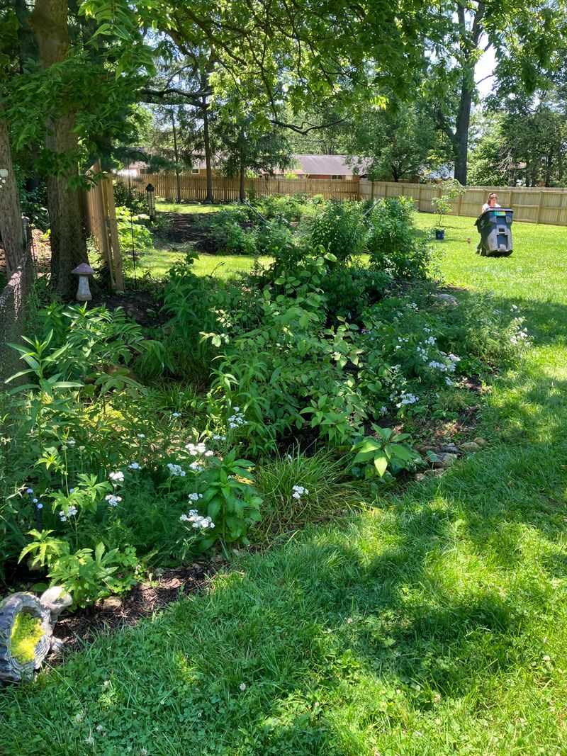 Native Plants Help Pull Moisture Out Of The Soil