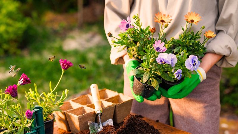 Native Plants Still Need Untreated Growing Practices
