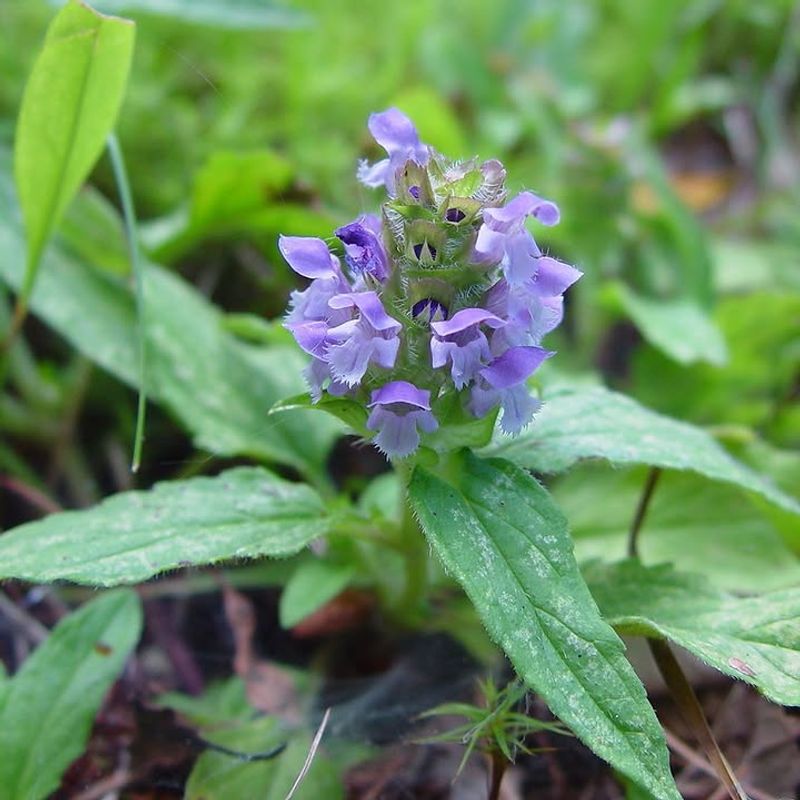 Native Self-Heal