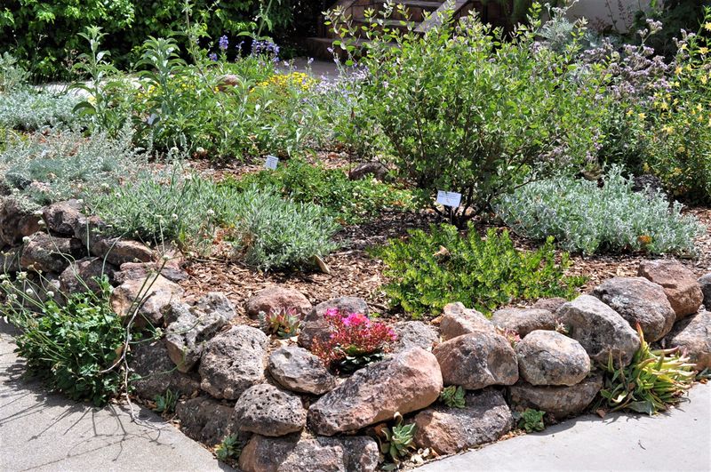 Natural-Looking Front Yards Are Gaining Ground
