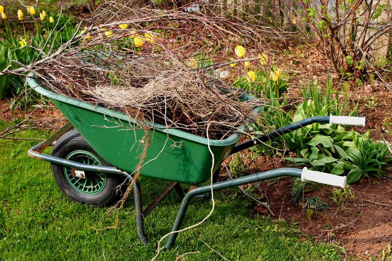 Neglecting Regular Garden Cleanup