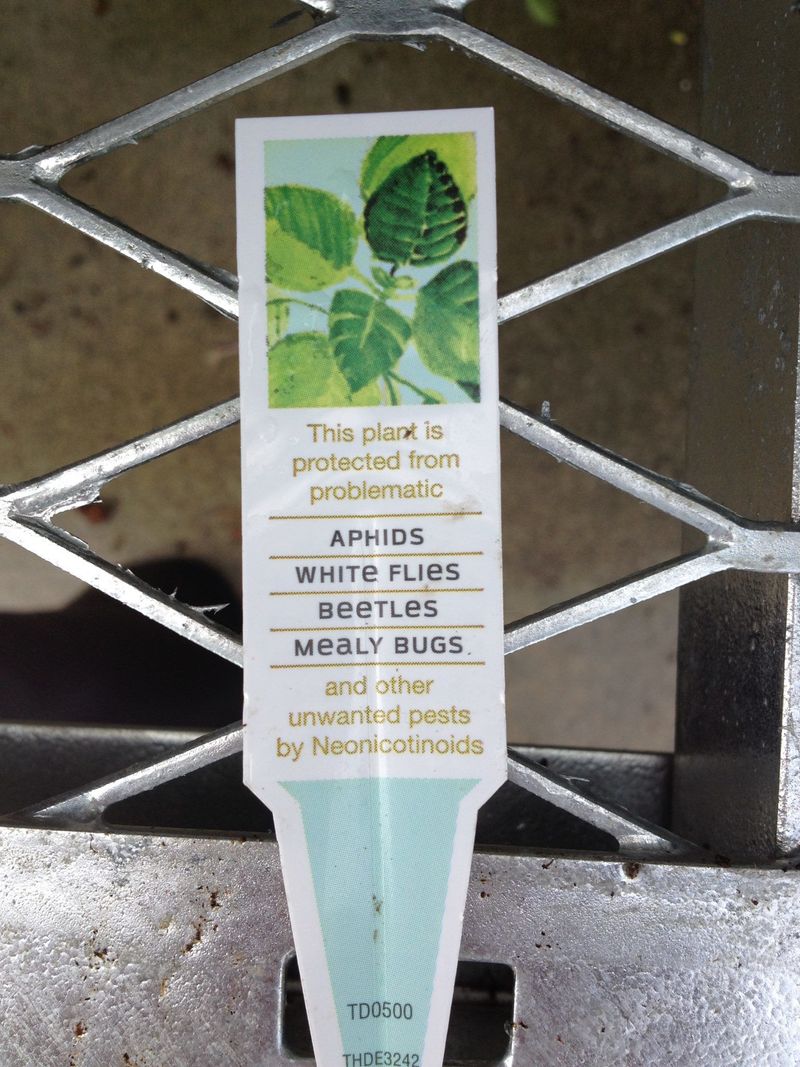 Neonicotinoids Can Hide Inside The Plant