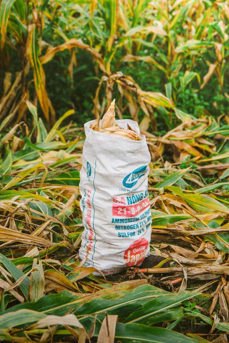 Nitrogen-Heavy Fertilizer Pushes Growth Too Fast Nitrogen-Heavy Fertilizer Pushes Growth Too Fast
