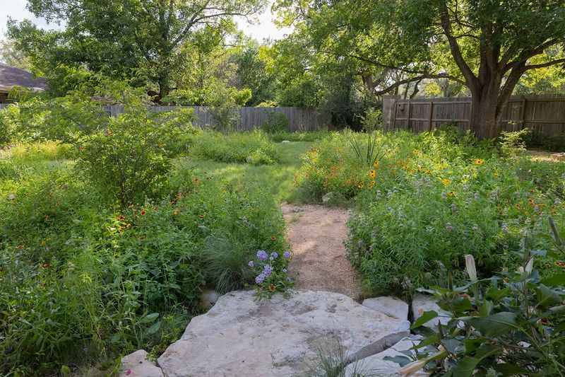 No-Irrigation Meadow-Style Landscapes