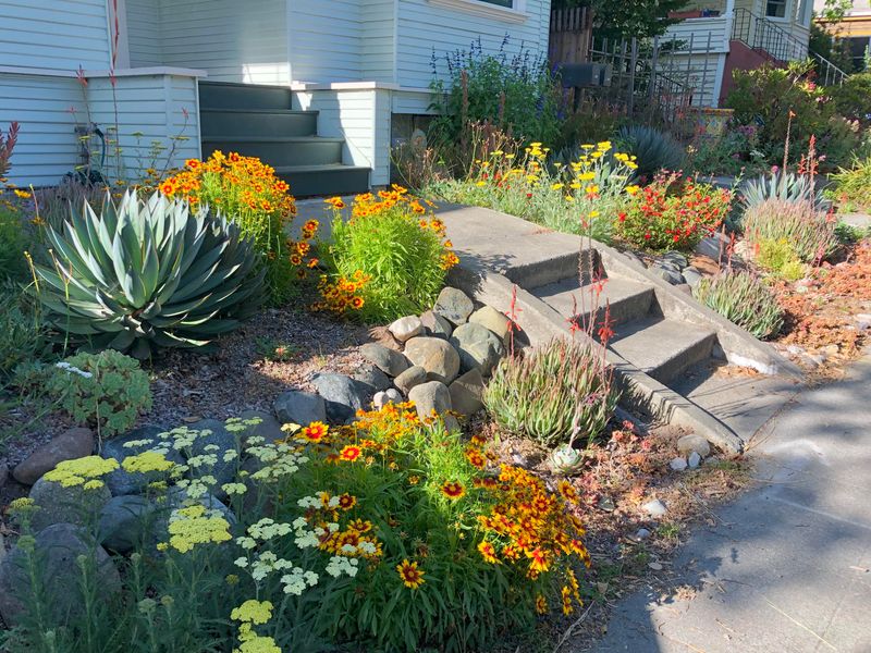 No-Mow Designs Open Up More Planting Options