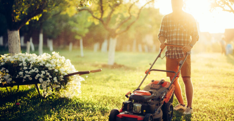 No Mow May Is Spreading Across New Jersey And The Results Are Surprising