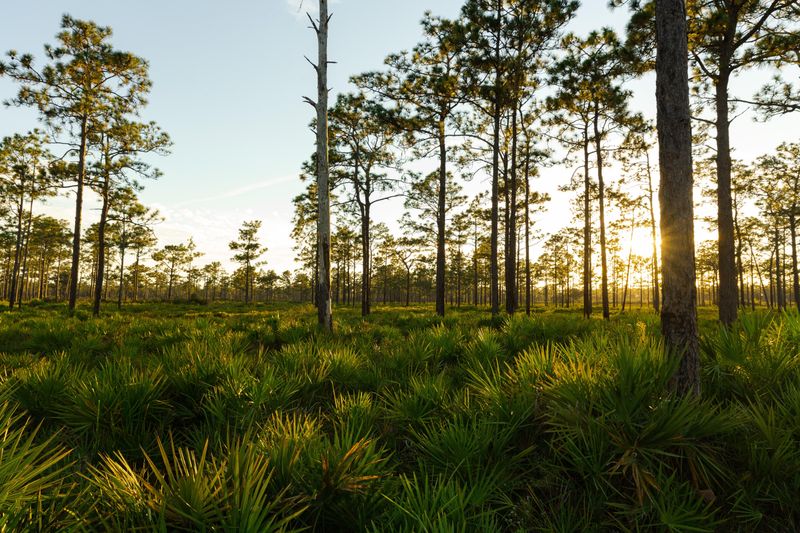 North Florida Beds Need Extra Attention