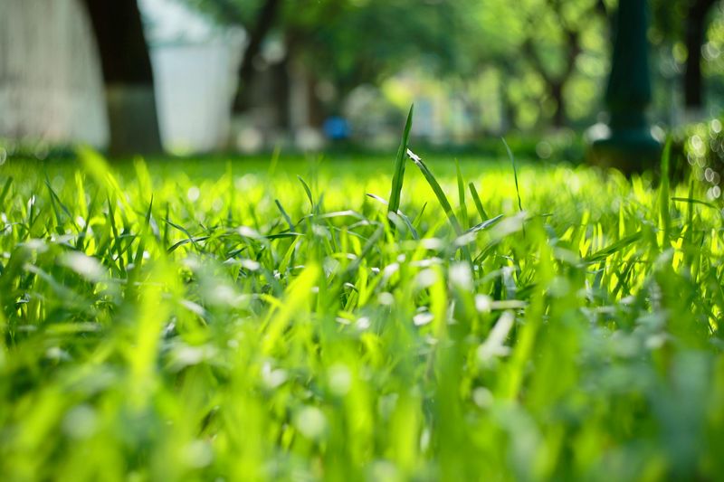 Not Giving Your Soil A Chance To Breathe After Winter