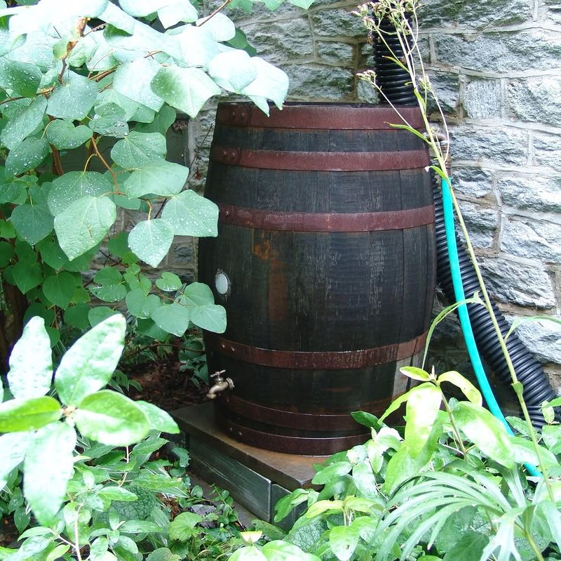 Not Maintaining Rain Barrels Or Water Features