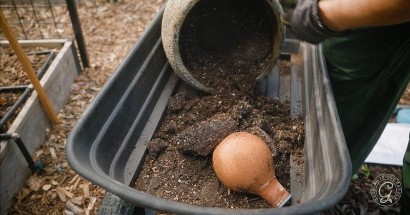 Old Potting Soil Works Well For Filling Empty Spots In Landscape Beds Old Potting Soil Works Well For Filling Empty Spots In Landscape Beds