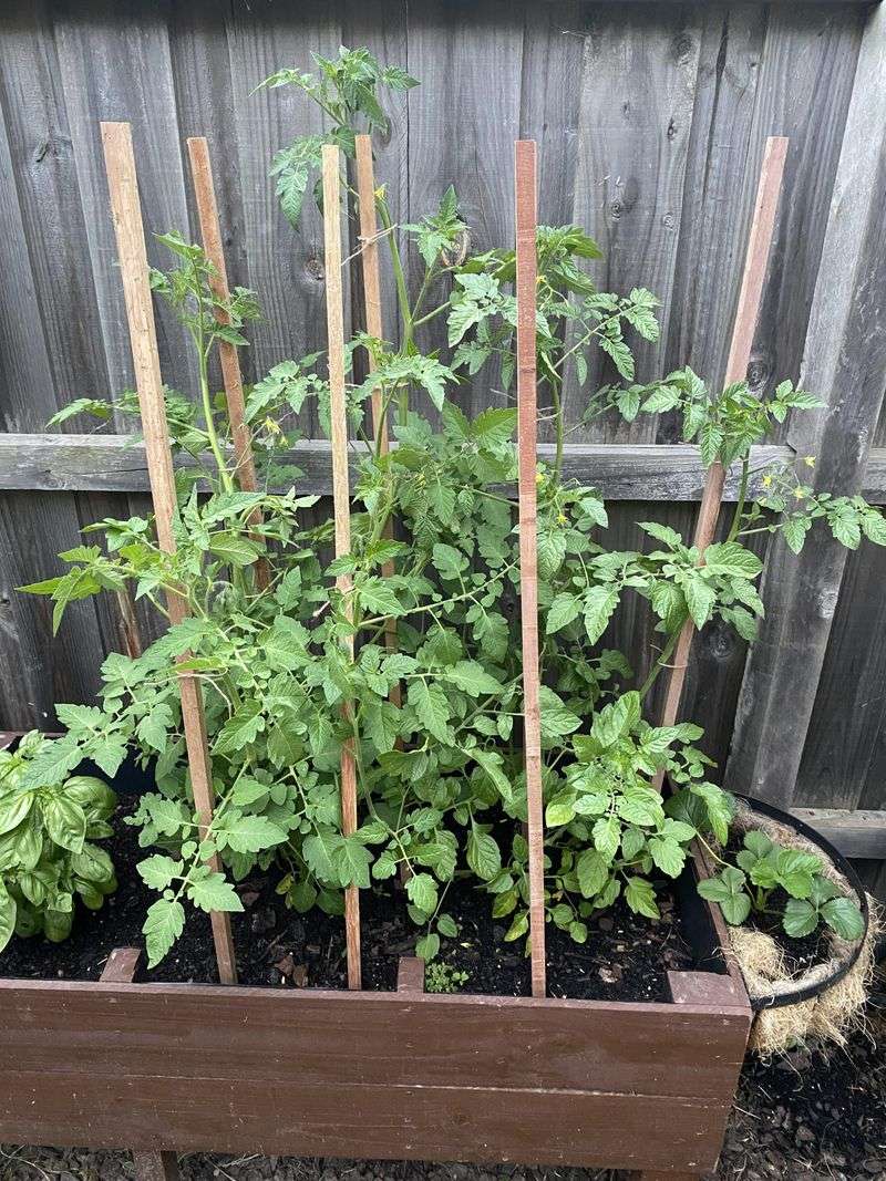 One Early Step Helps The Whole Season