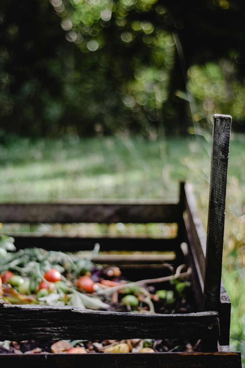 Open Compost Bins Offer A Steady Food Source Open Compost Bins Offer A Steady Food Source