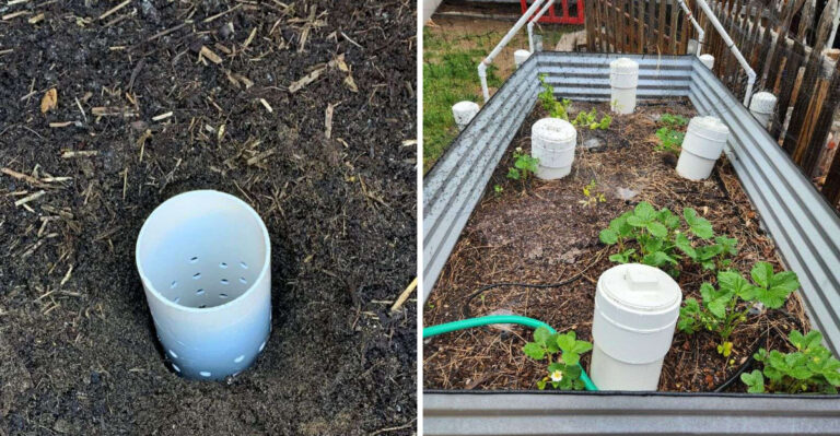 Oregon Gardeners Are Burying Pipes In Raised Beds And Letting Worms Handle The Rest