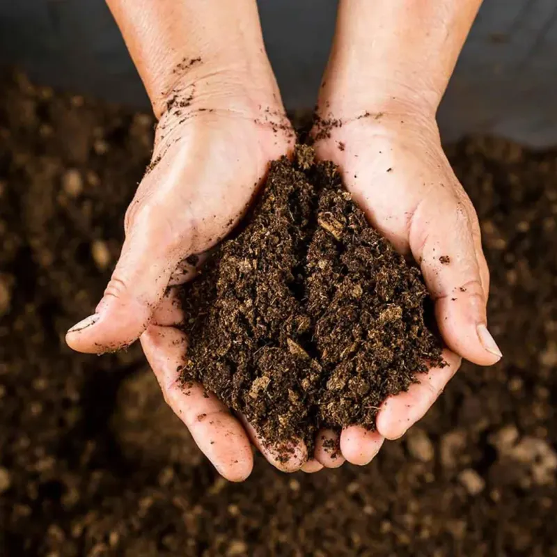 Organic Mulch Improves Soil As It Breaks Down