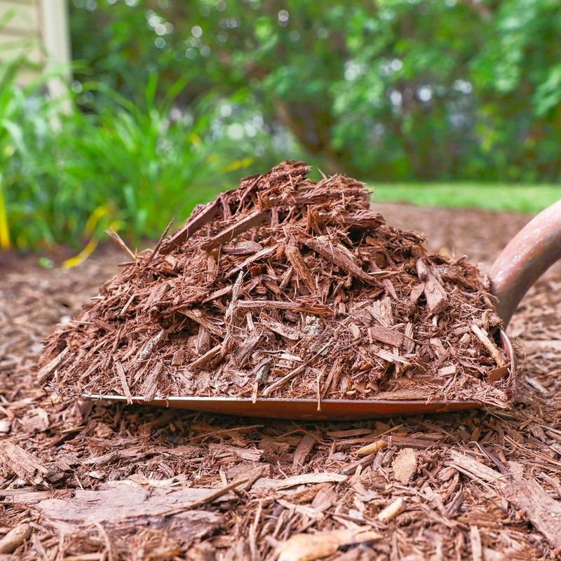Organic Mulch Often Keeps Root Zones Cooler Longer