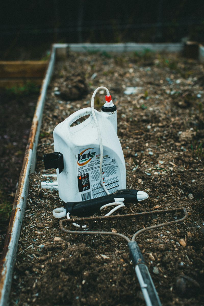 Over-Fertilizing With Too Much Nitrogen