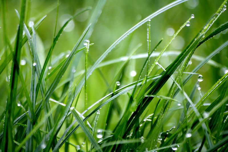 Overlooking Colorados Unpredictable May Rainfall