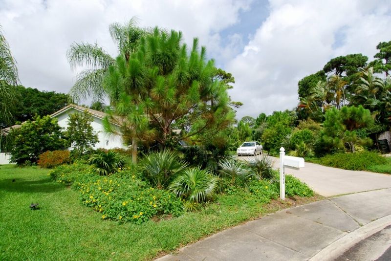Overusing Palms Where Shrubs Work Better